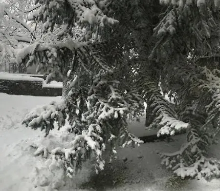 Blue Pine * Portaria (Magnesia)